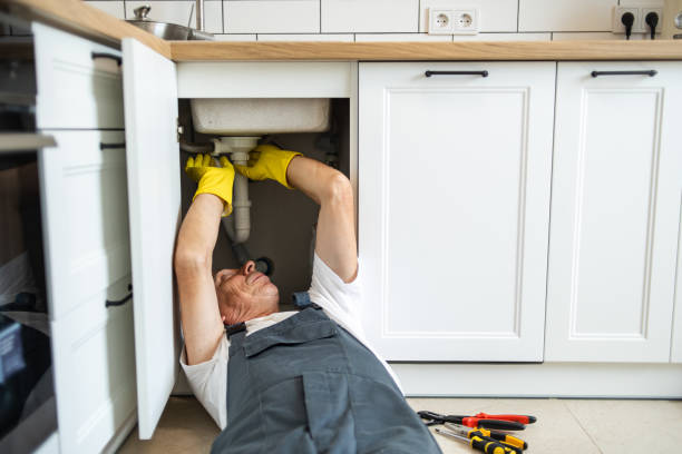 Best Toilet Repair Services  in Cartervle, IL