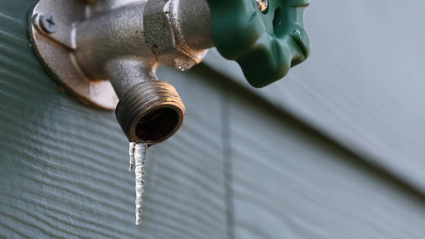 Best Clogged Drain Plumber  in Cartervle, IL